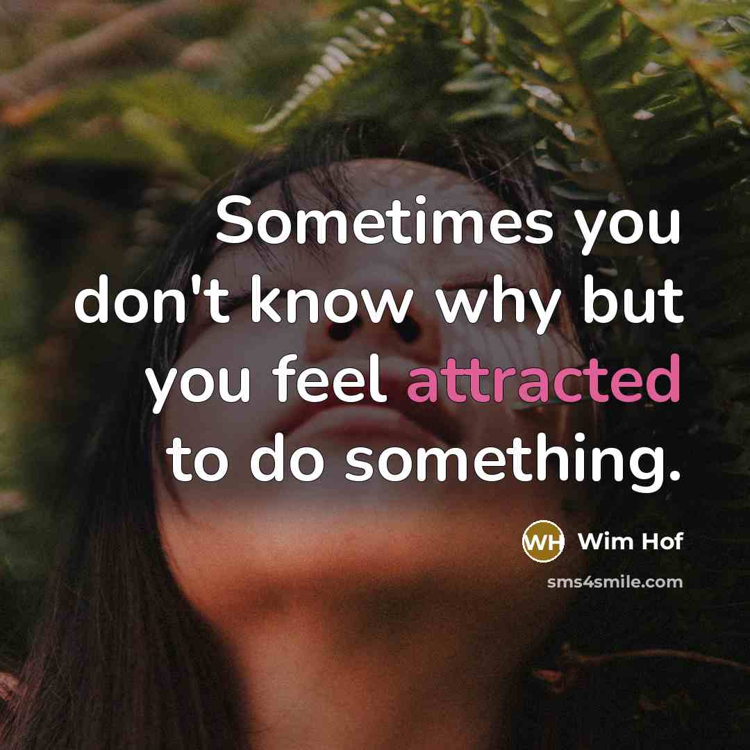 “Sometimes you don't know why but you feel attracted to do something.” quote by Wim Hof