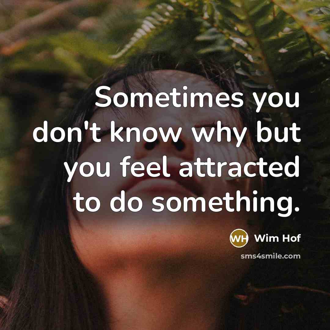 “Sometimes you don't know why but you feel attracted to…” quote by Wim Hof