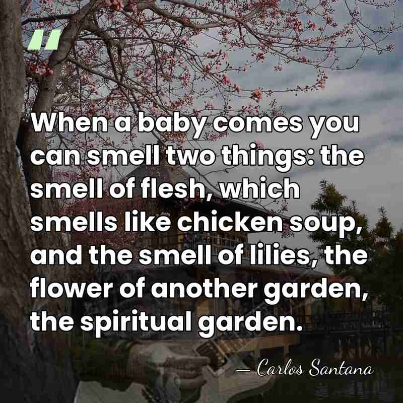 When a baby comes you can smell two things: the smell of&hellip; - Carlos Santana