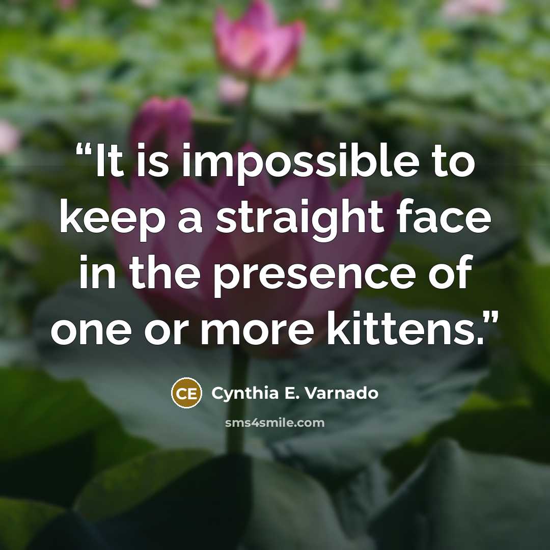 “It is impossible to keep a straight face in the presence of one or more kittens.” quote by Cynthia E. Varnado