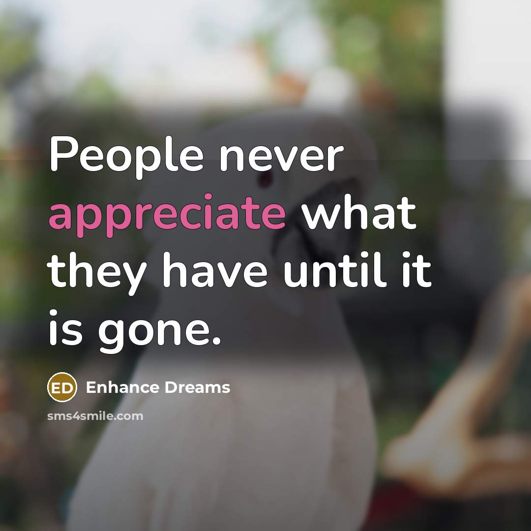 “People never appreciate what they have until it is gone.…” quote by Enhance Dreams