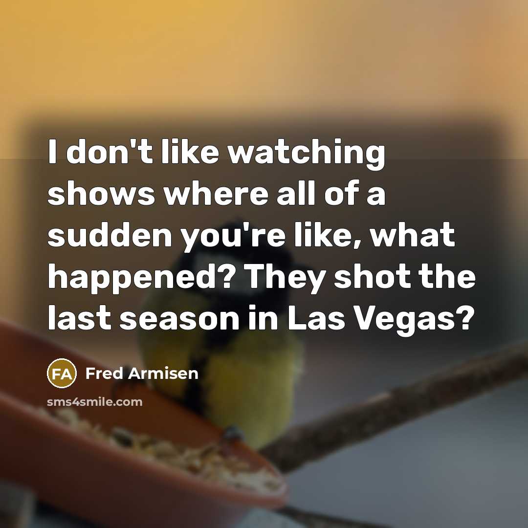 “I don't like watching shows where all of a sudden…” quote by Fred Armisen