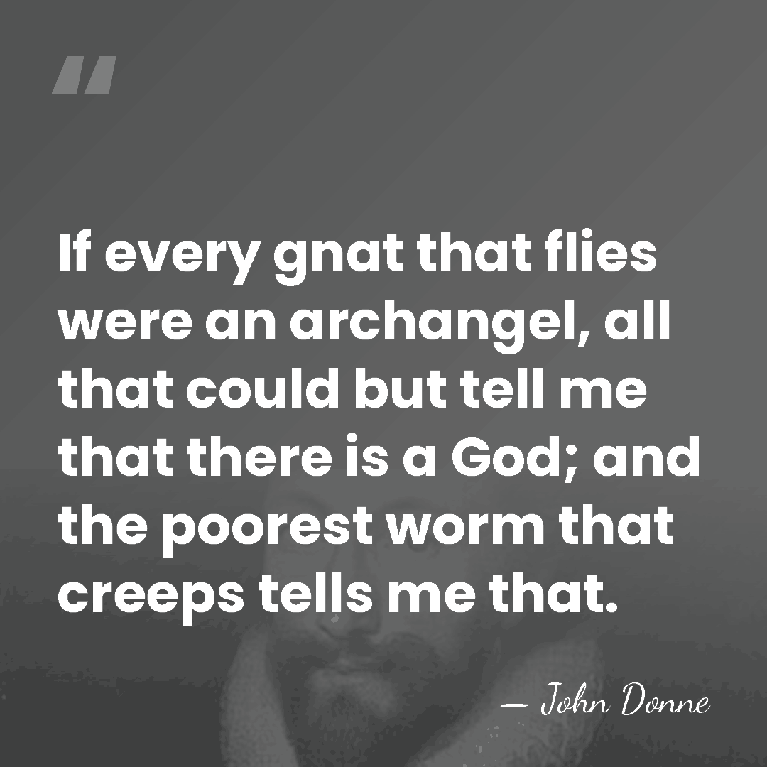If every gnat that flies were an archangel, all that could but&hellip; - John Donne