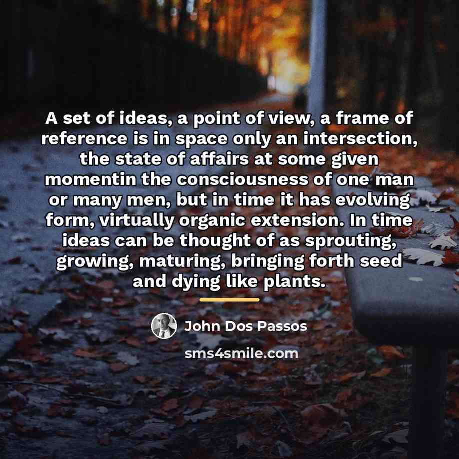 “A set of ideas, a point of view, a frame…” quote by John Dos Passos