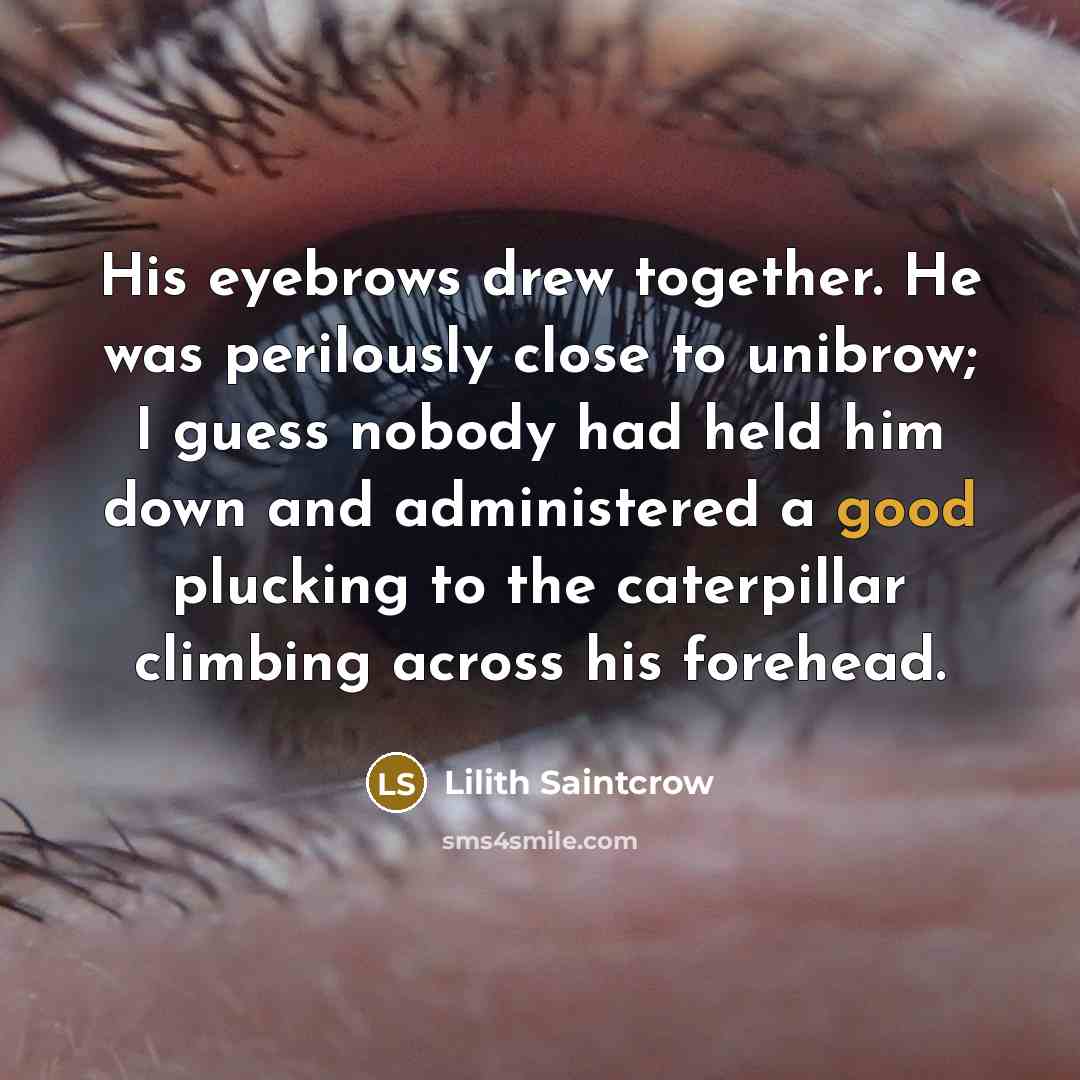 “His eyebrows drew together. He was perilously close to unibrow;…” quote by Lilith Saintcrow
