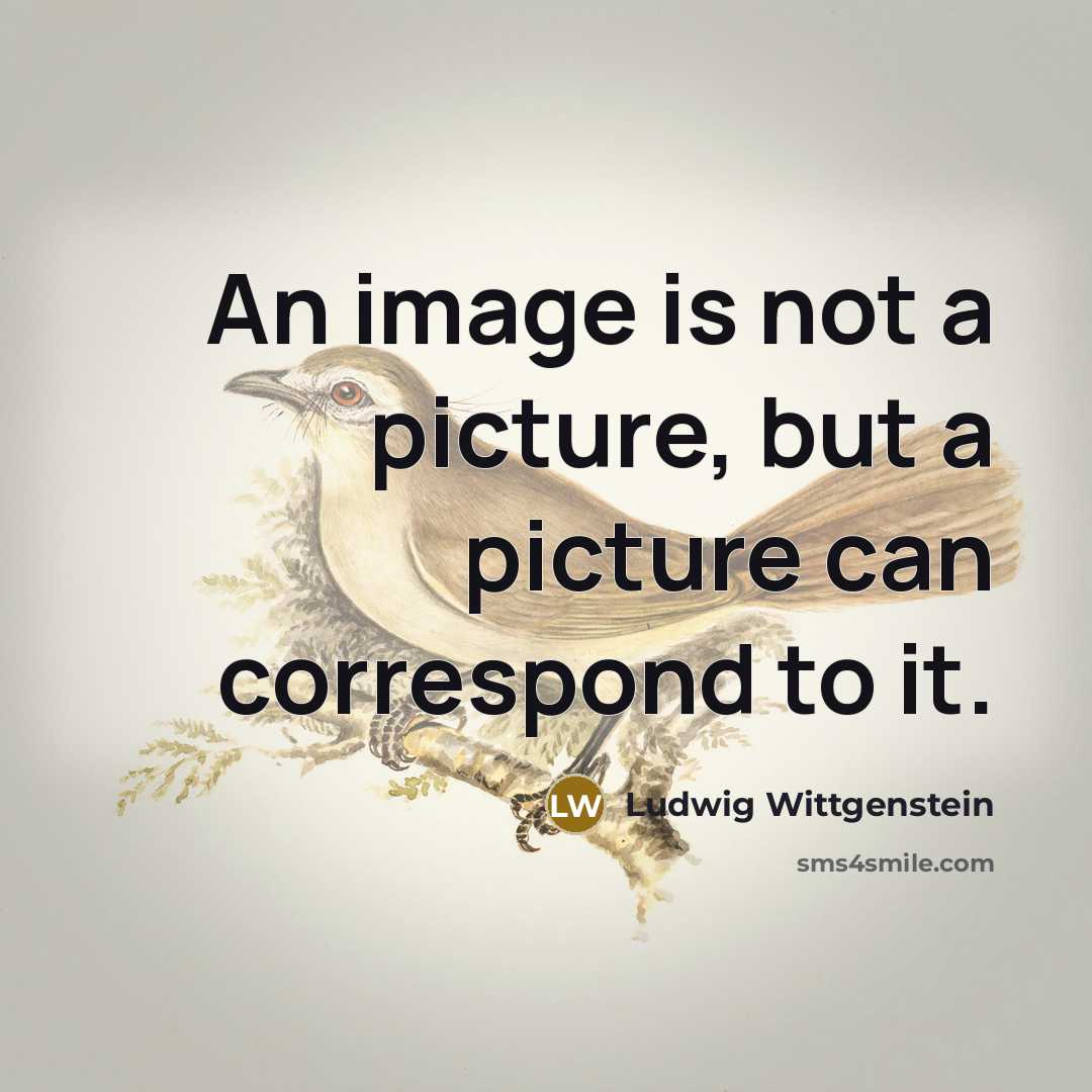 “An image is not a picture, but a picture can…” quote by Ludwig Wittgenstein