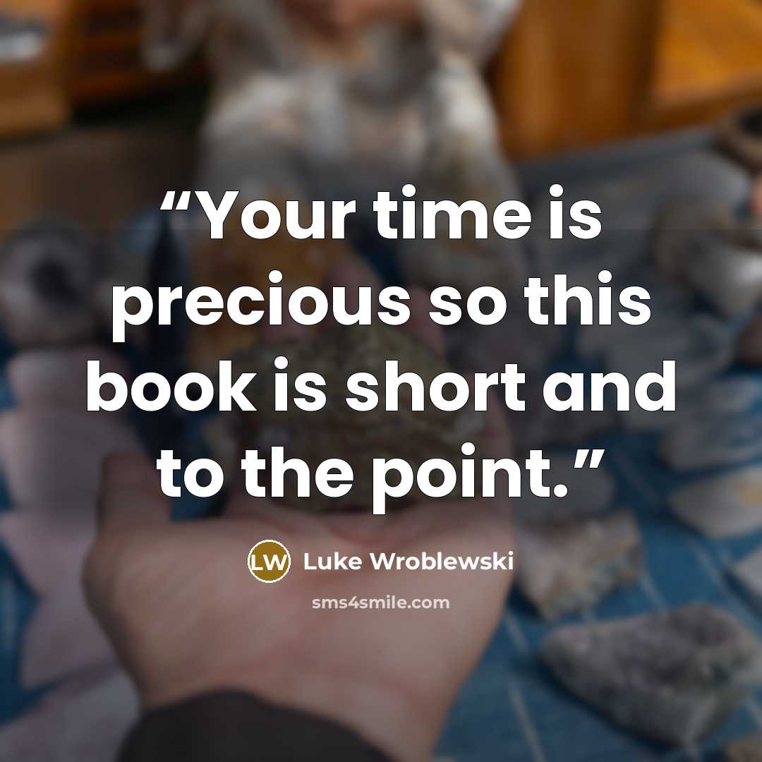 “Your time is precious so this book is short and to the point.” quote by Luke Wroblewski