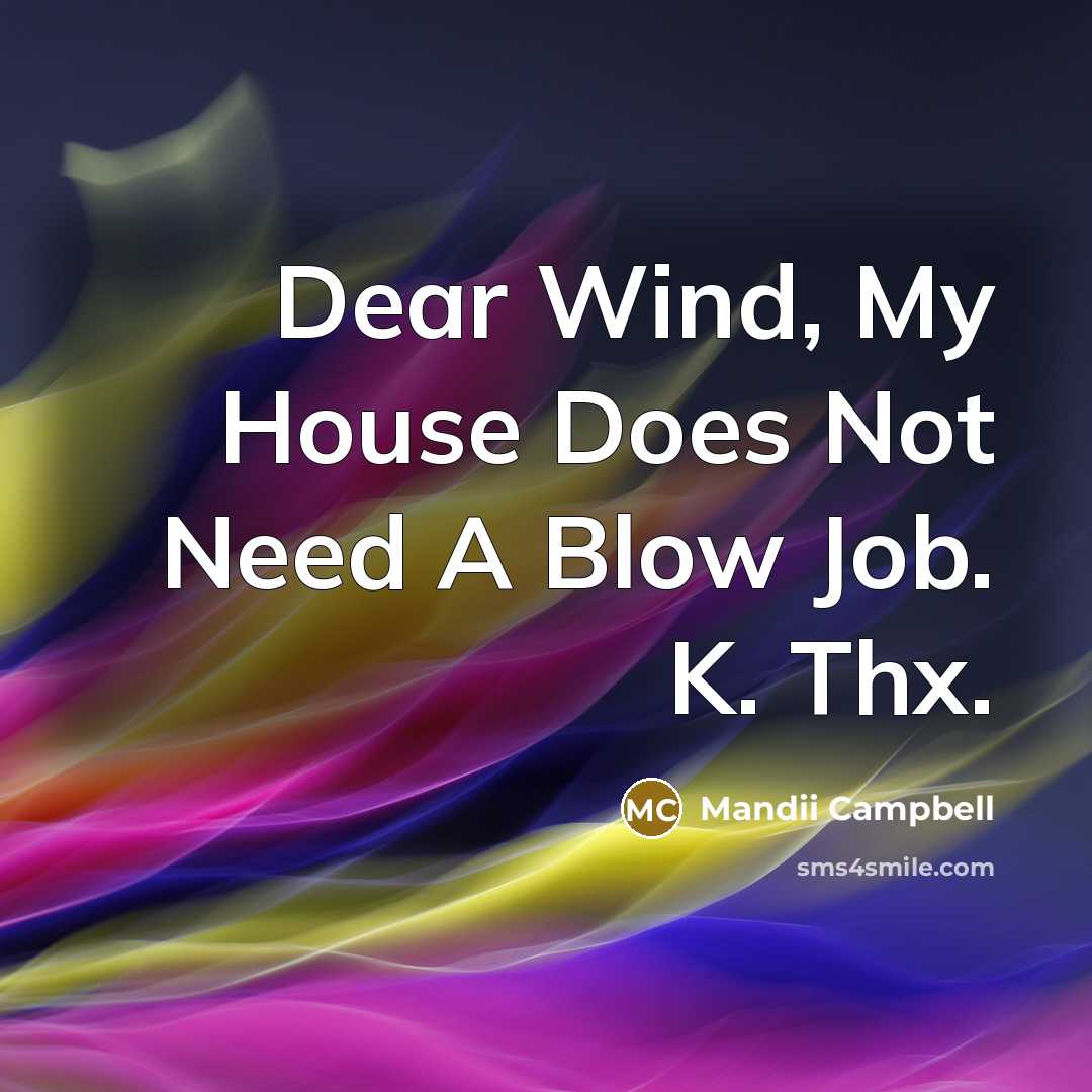 “Dear Wind, My House Does Not Need A Blow Job. K. Thx.” quote by Mandii Campbell