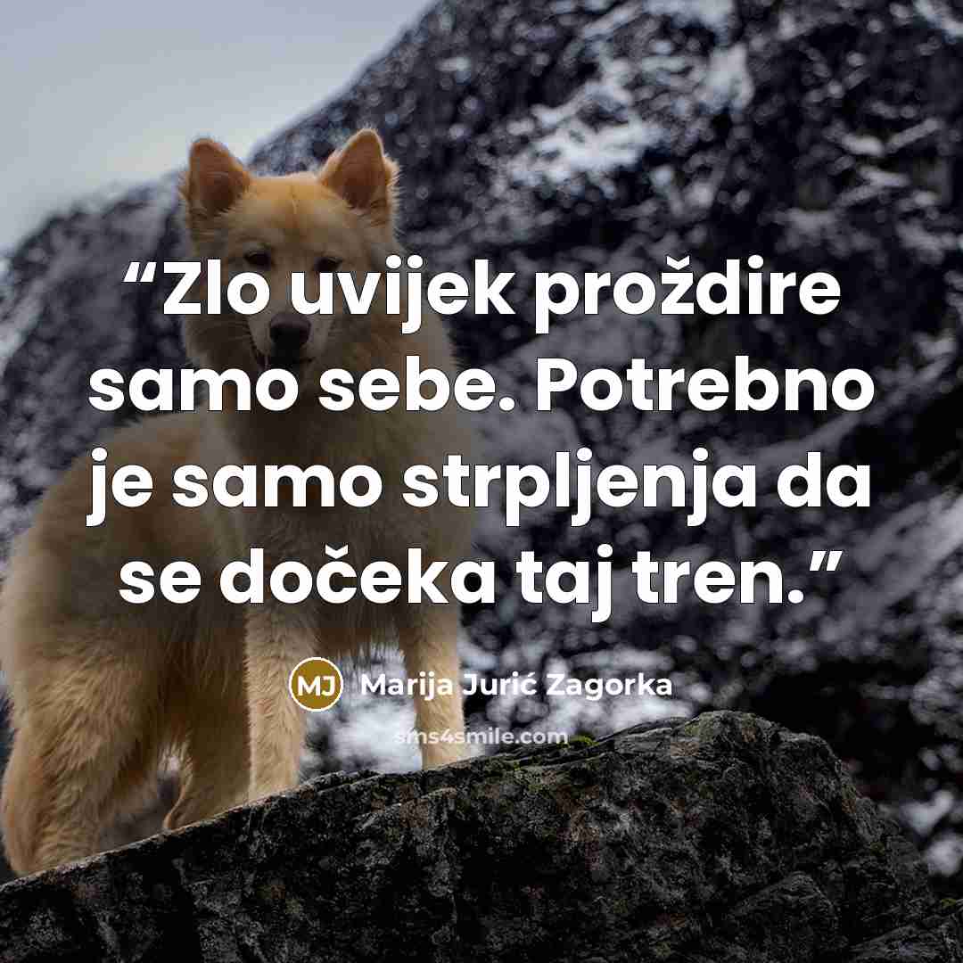 “Zlo uvijek proždire samo sebe. Potrebno je samo strpljenja da se dočeka taj tren.” quote by Marija Jurić Zagorka
