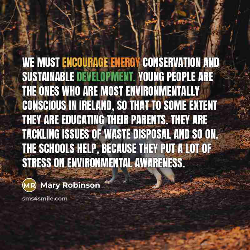 “We must encourage energy conservation and sustainable development. Young people…” quote by Mary Robinson