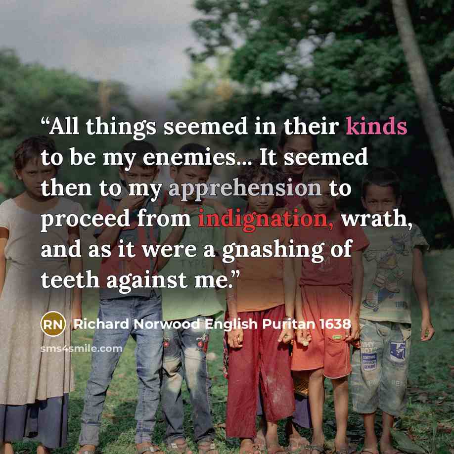 “All things seemed in their kinds to be my enemies... It seemed then to my apprehension to proceed from indignation, wrath, and as it were a gnashing of teeth against me.” quote by Richard Norwood English Puritan 1638