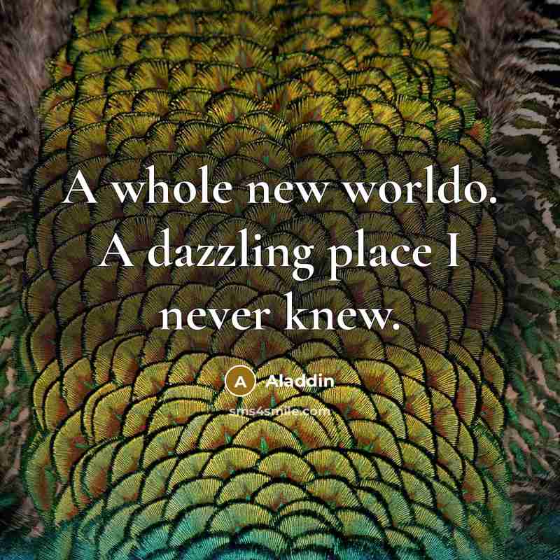 “A whole new worldo. A dazzling place I never knew.” quote by Aladdin