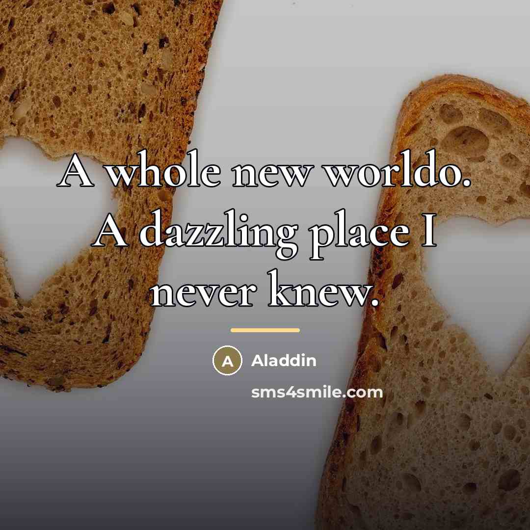 “A whole new worldo. A dazzling place I never knew.…” quote by Aladdin
