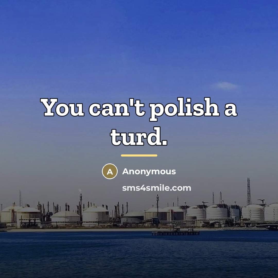 “You can't polish a turd.…” quote by Anonymous