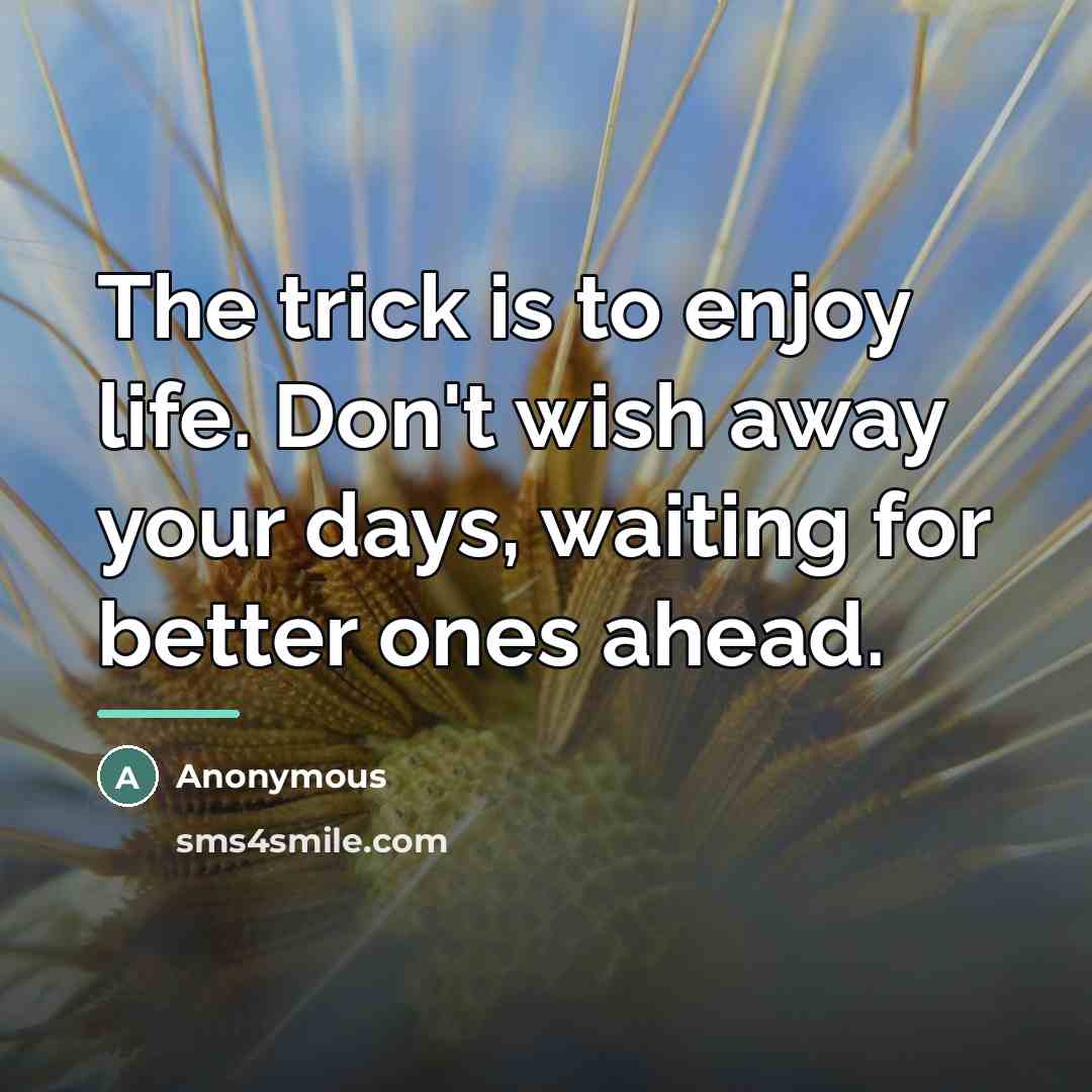 “The trick is to enjoy life. Don't wish away your…” quote by Anonymous