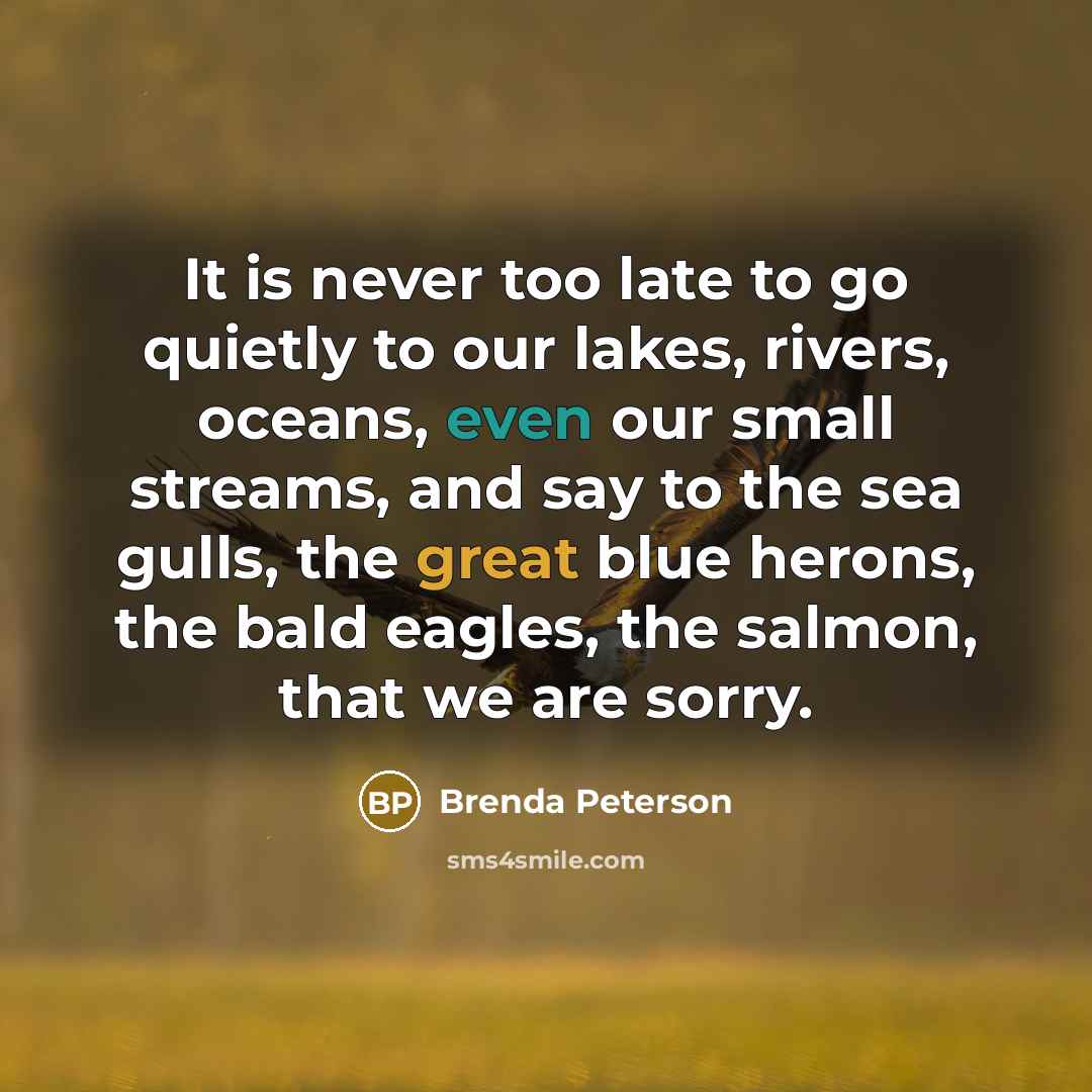 “It is never too late to go quietly to our…” quote by Brenda Peterson