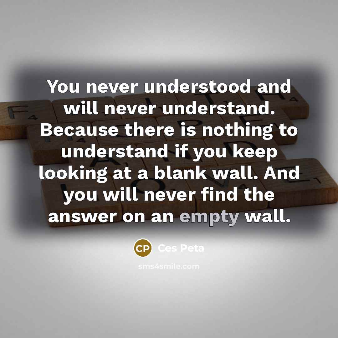 “You never understood and will never understand. Because there is nothing to understand if you keep looking at a blank wall. And you will never find the answer on an empty wall.” quote by Ces Peta