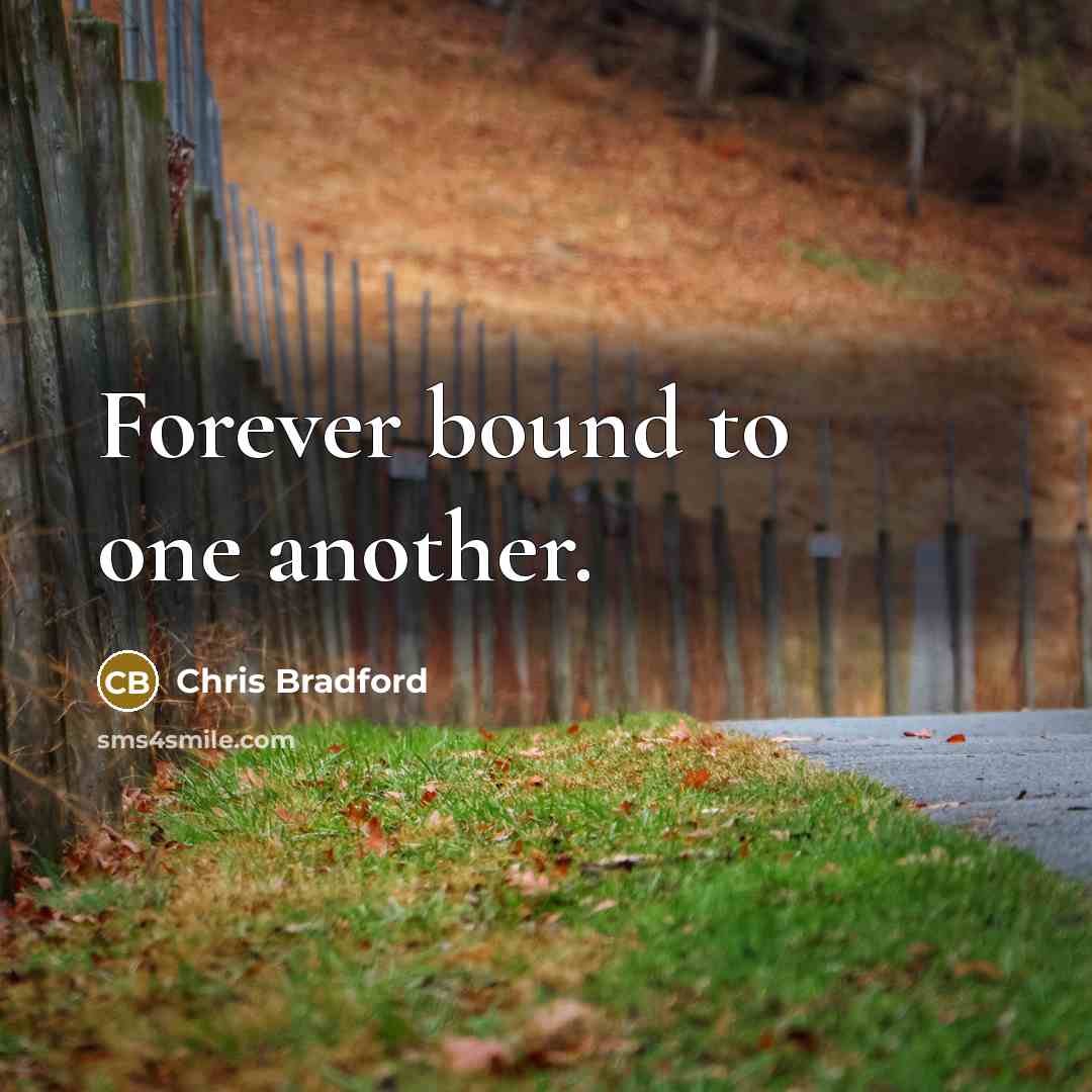 “Forever bound to one another.…” quote by Chris Bradford