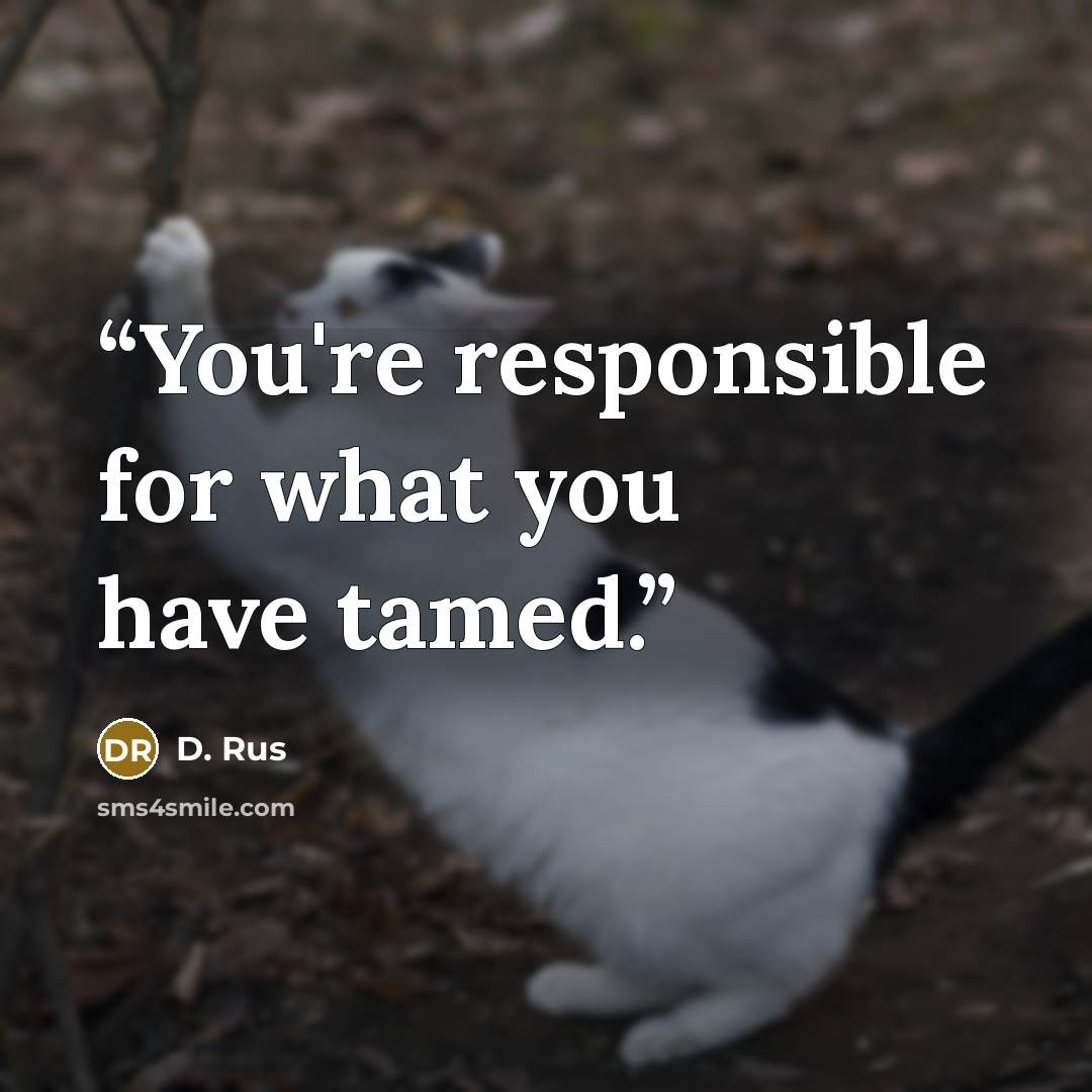 “You're responsible for what you have tamed.” quote by D. Rus