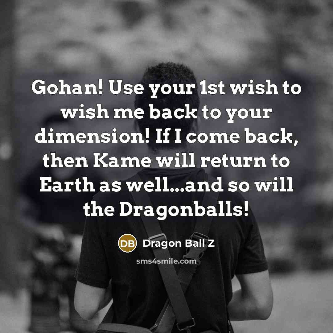 “Gohan! Use your 1st wish to wish me back to…” quote by Dragon Ball Z
