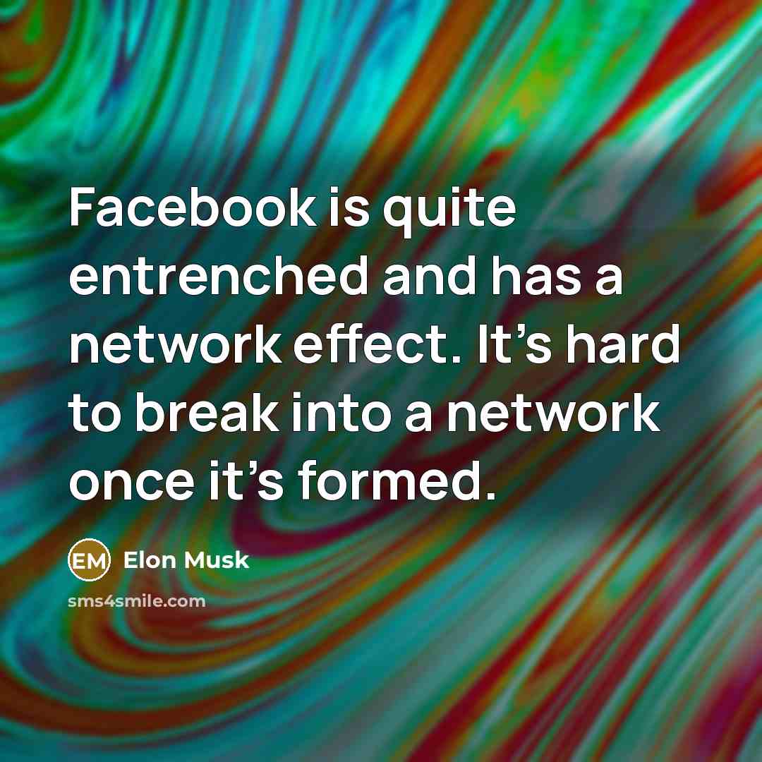 “Facebook is quite entrenched and has a network effect. It's…” quote by Elon Musk