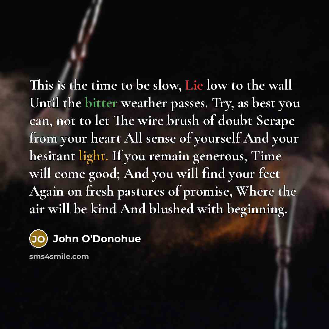 “This is the time to be slow, Lie low to…” quote by John O'Donohue