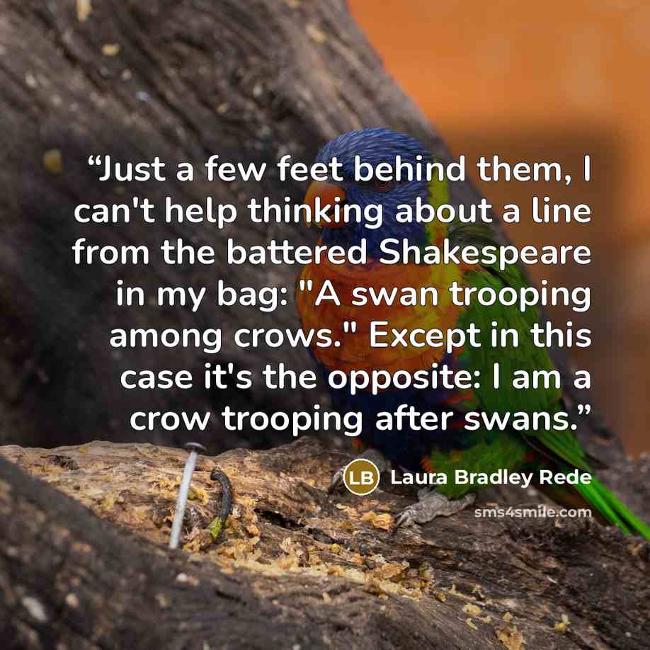 “Just a few feet behind them, I can't help thinking about a line from the battered Shakespeare in my bag: "A swan trooping among crows." Except in this case it's the opposite: I am a crow trooping after swans.” quote by Laura Bradley Rede