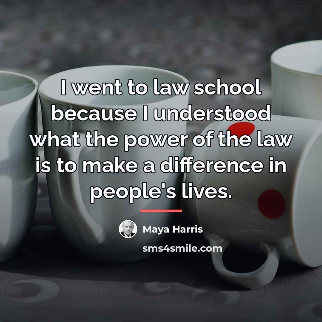 “I went to law school because I understood what the…” quote by Maya Harris