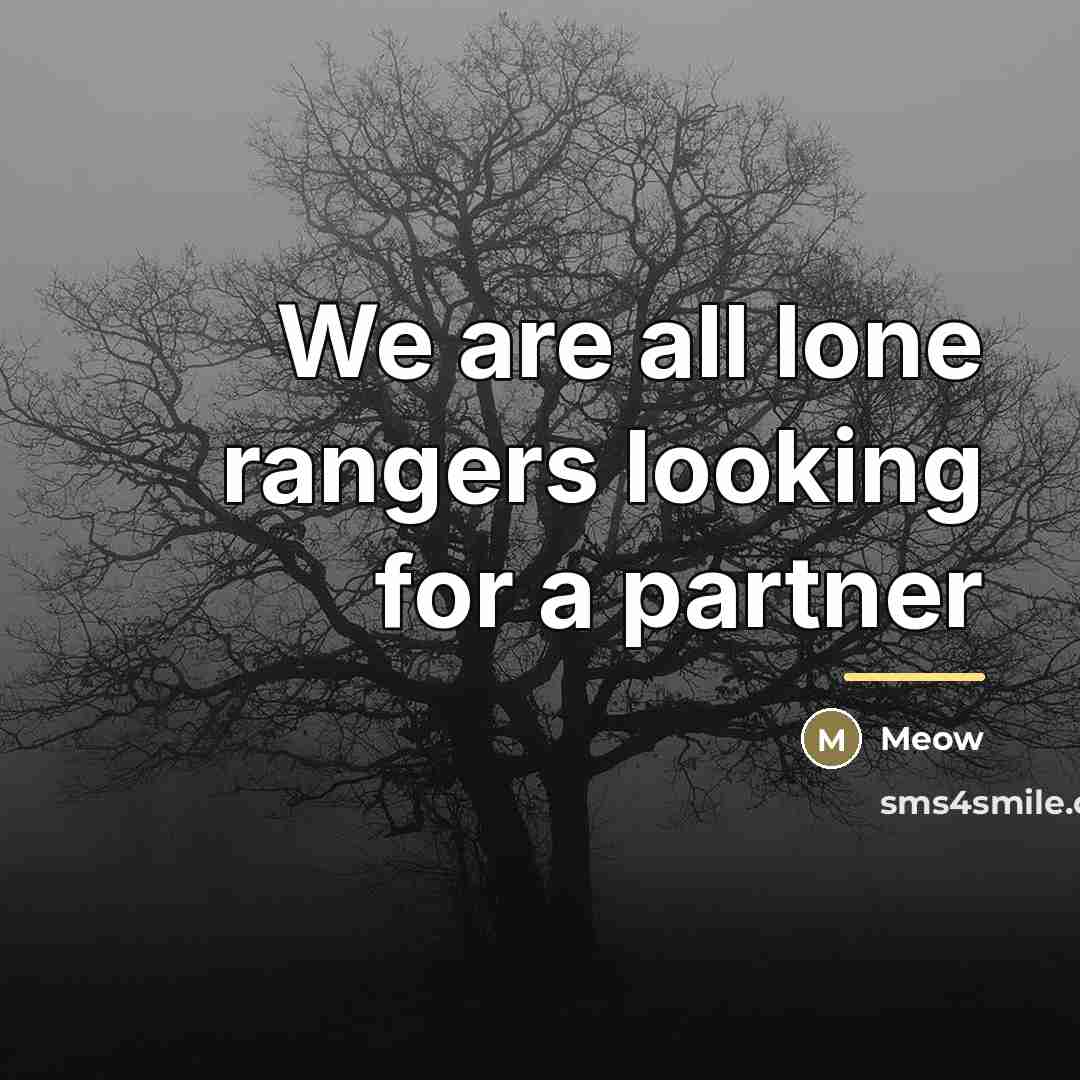 “We are all lone rangers looking for a partner…” quote by Meow