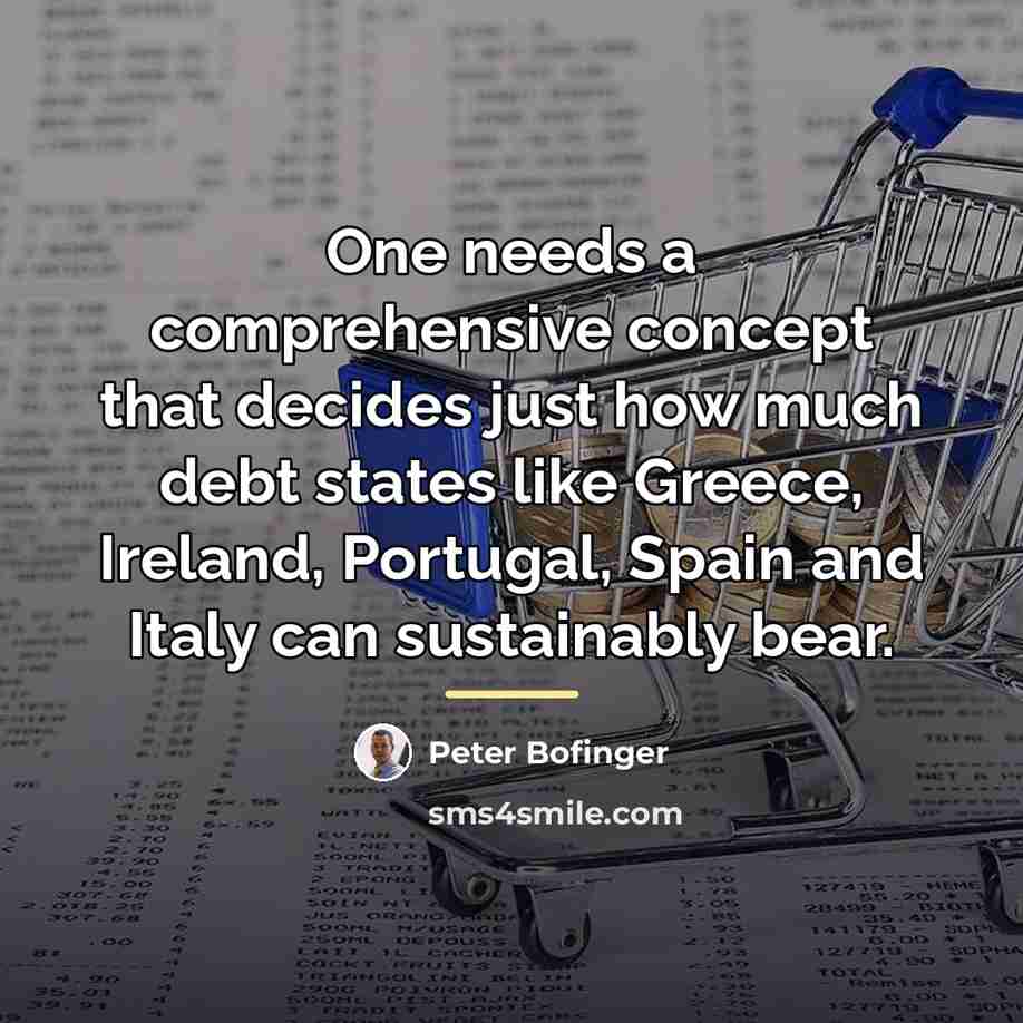 “One needs a comprehensive concept that decides just how much…” quote by Peter Bofinger