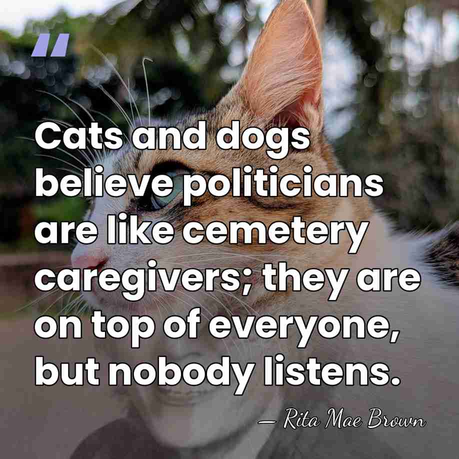 Cats and dogs believe politicians are like cemetery caregivers; they are on&hellip; - Rita Mae Brown