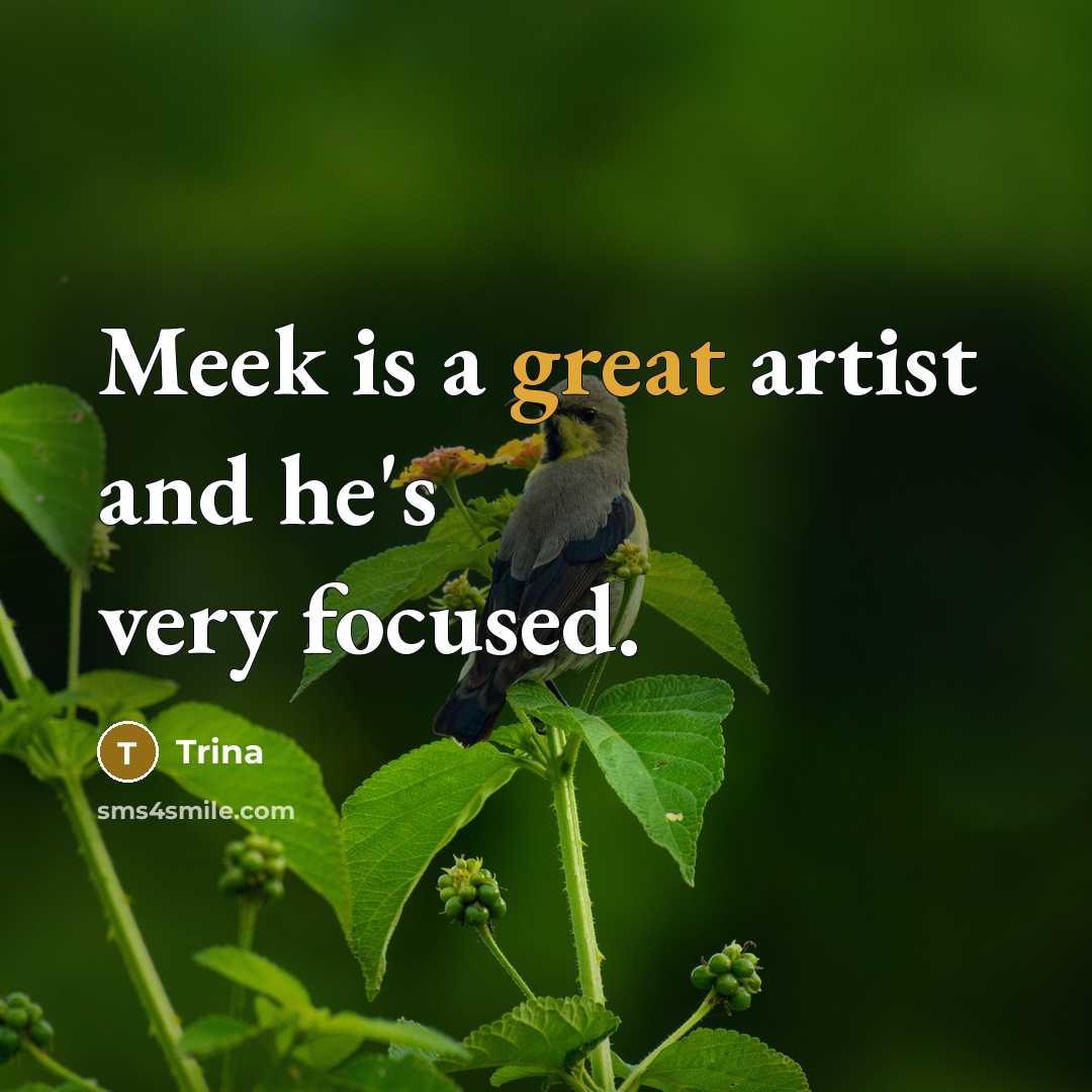 “Meek is a great artist and he's very focused.…” quote by Trina