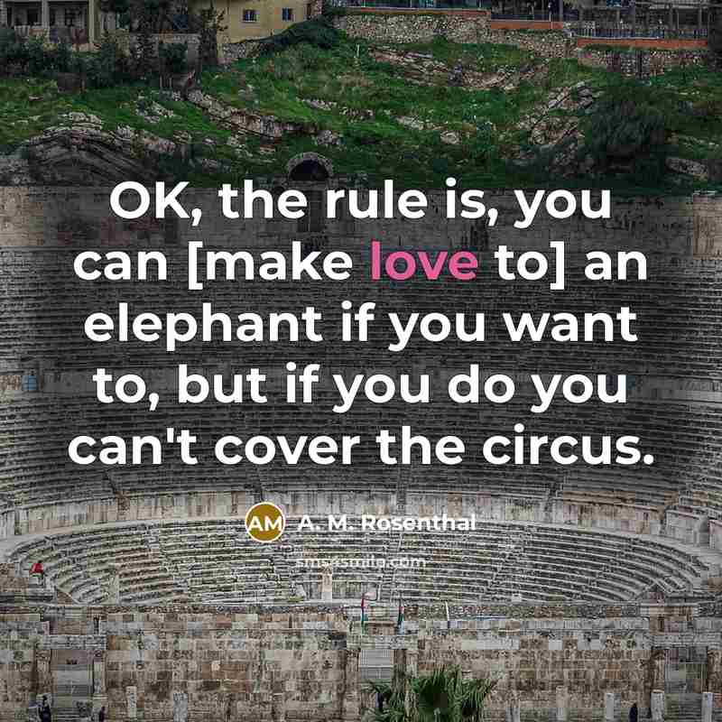 “OK, the rule is, you can [make love to] an…” quote by A. M. Rosenthal