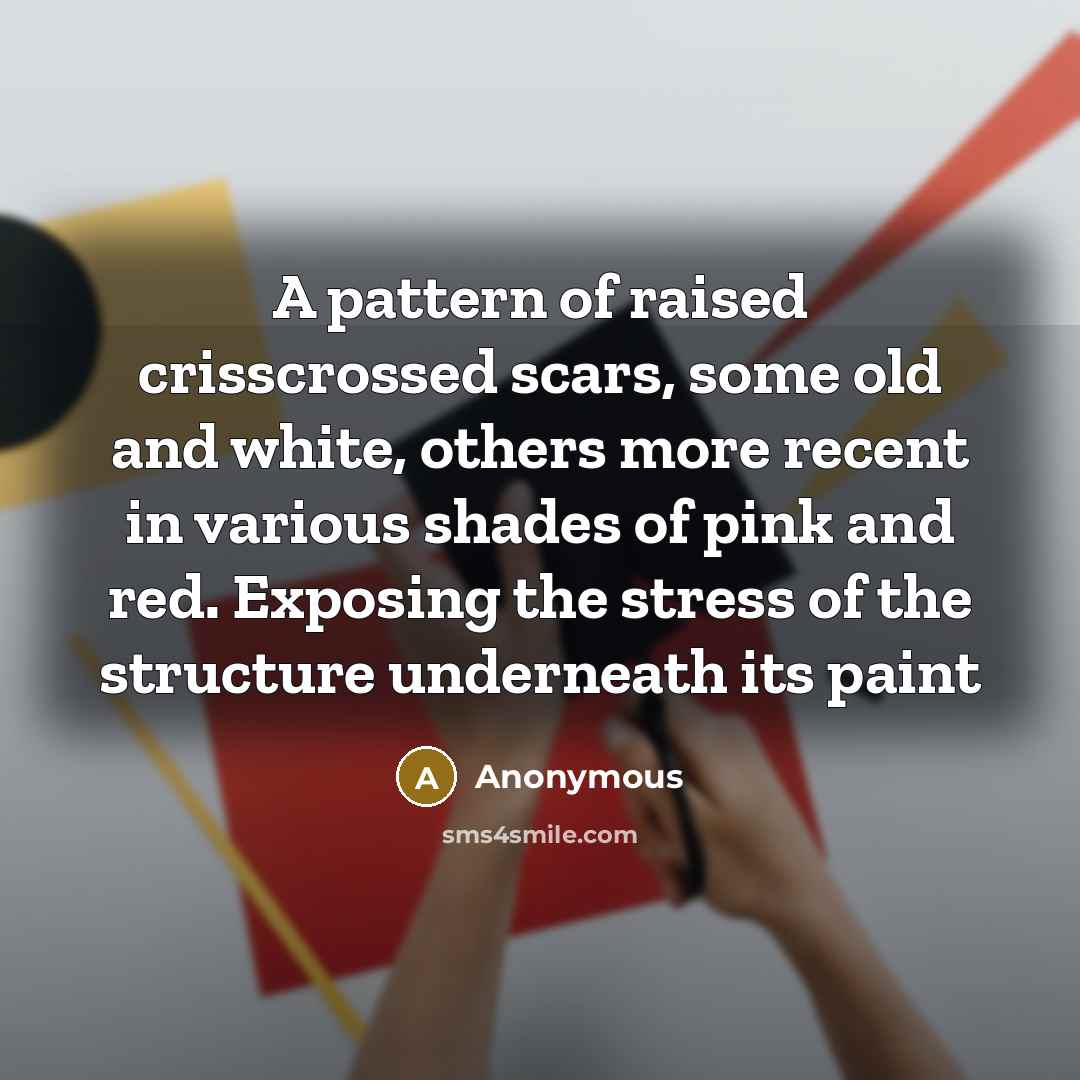 “A pattern of raised crisscrossed scars, some old and white, others more recent in various shades of pink and red. Exposing the stress of the structure underneath its paint” quote by Anonymous