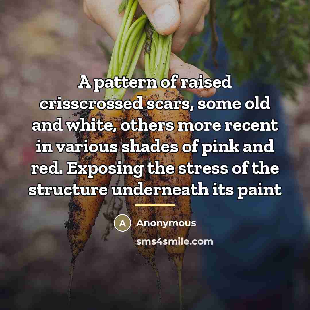 “A pattern of raised crisscrossed scars, some old and white,…” quote by Anonymous