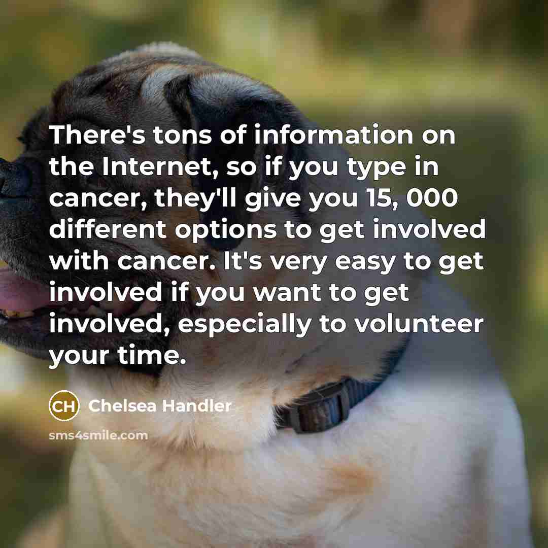 “There's tons of information on the Internet, so if you…” quote by Chelsea Handler
