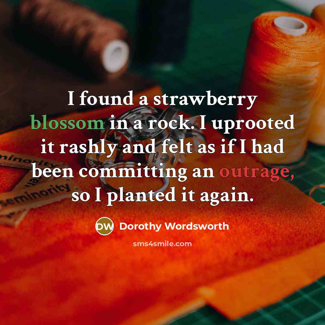 “I found a strawberry blossom in a rock. I uprooted…” quote by Dorothy Wordsworth