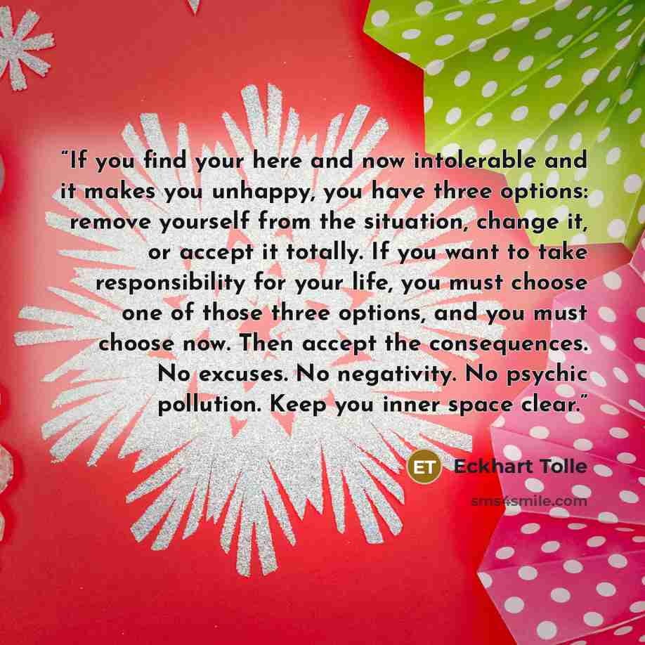“If you find your here and now intolerable and it makes you unhappy, you have three options: remove yourself from the situation, change it, or accept it totally. If you want to take responsibility for your life, you must choose one of those three options, and you must choose now. Then accept the…” quote by Eckhart Tolle