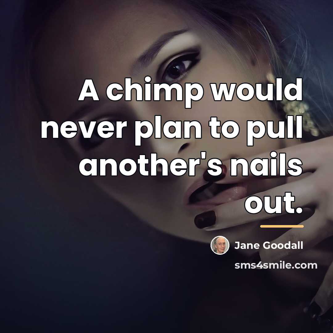 “A chimp would never plan to pull another's nails out.…” quote by Jane Goodall