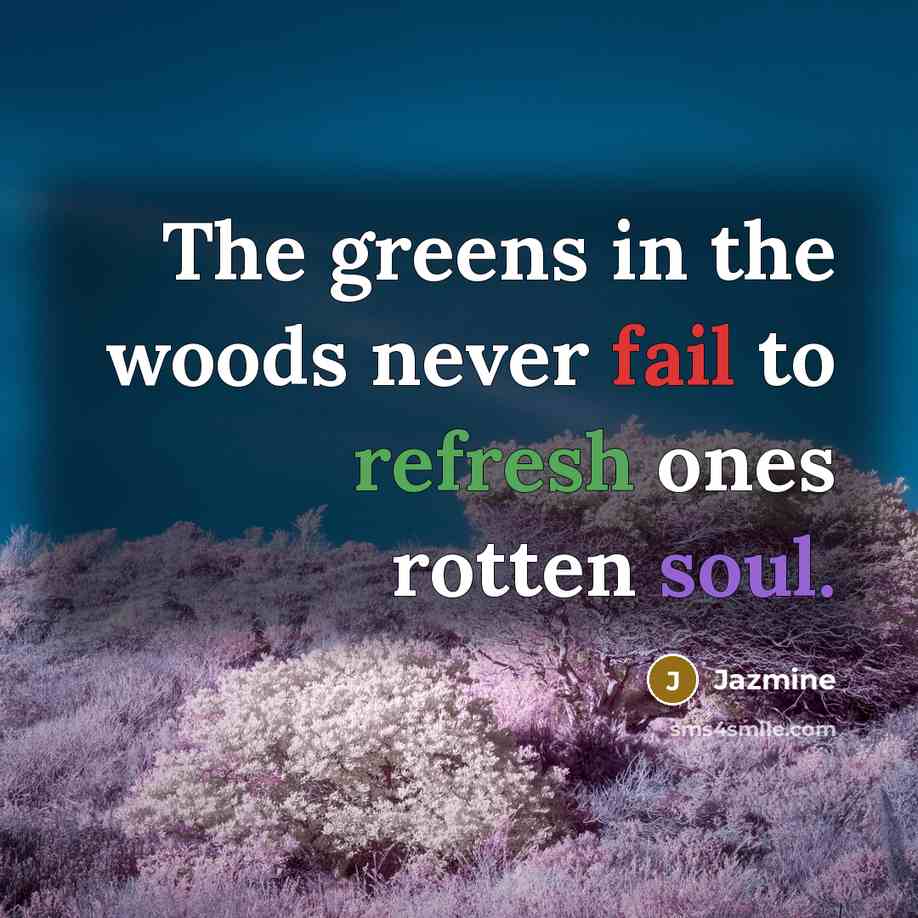 “The greens in the woods never fail to refresh ones rotten soul.” quote by Jazmine