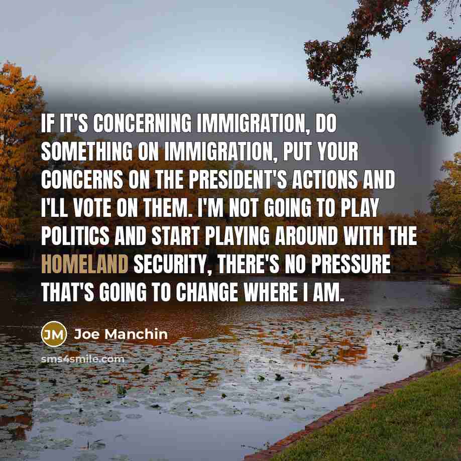 “If it's concerning immigration, do something on immigration, put your…” quote by Joe Manchin