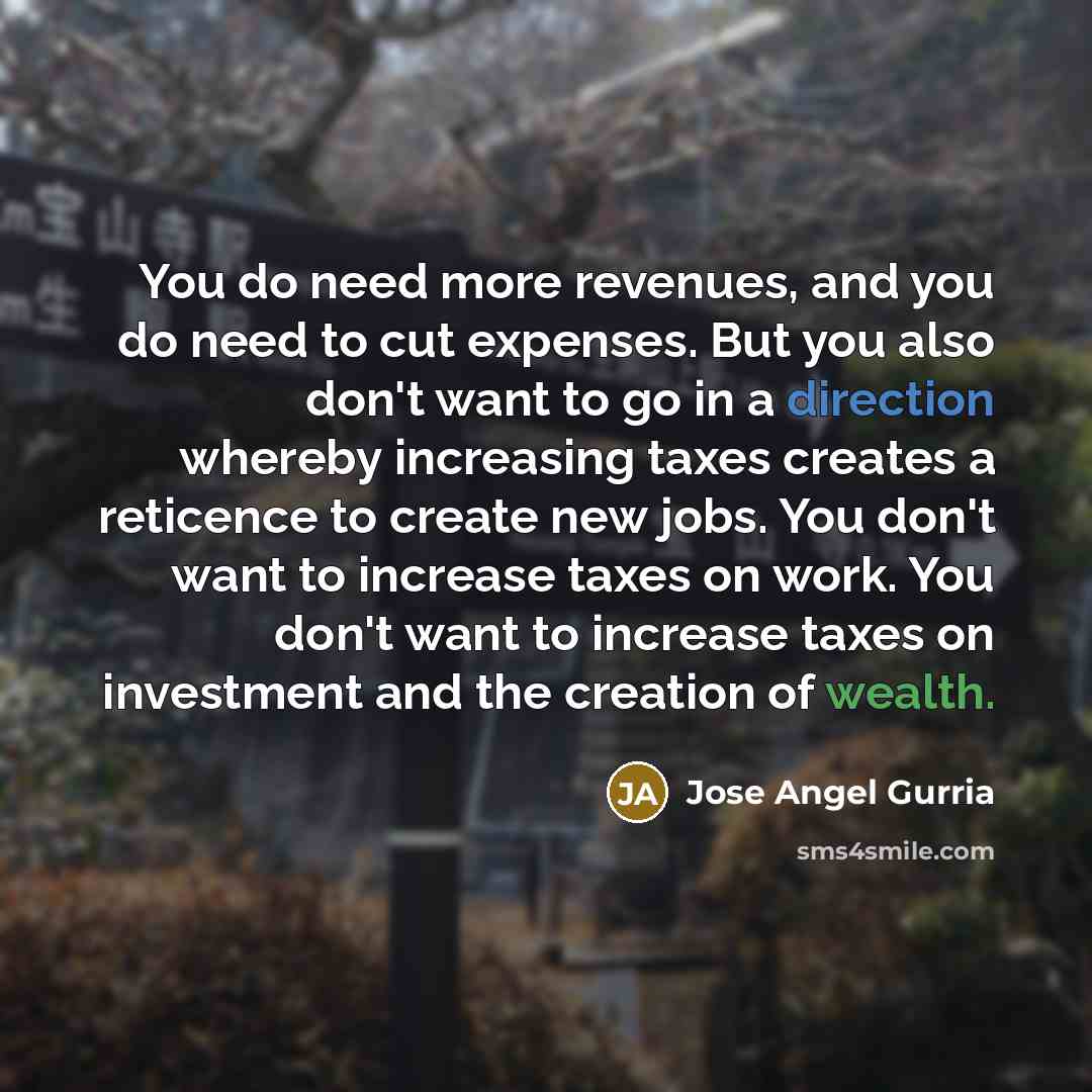 “You do need more revenues, and you do need to…” quote by Jose Angel Gurria