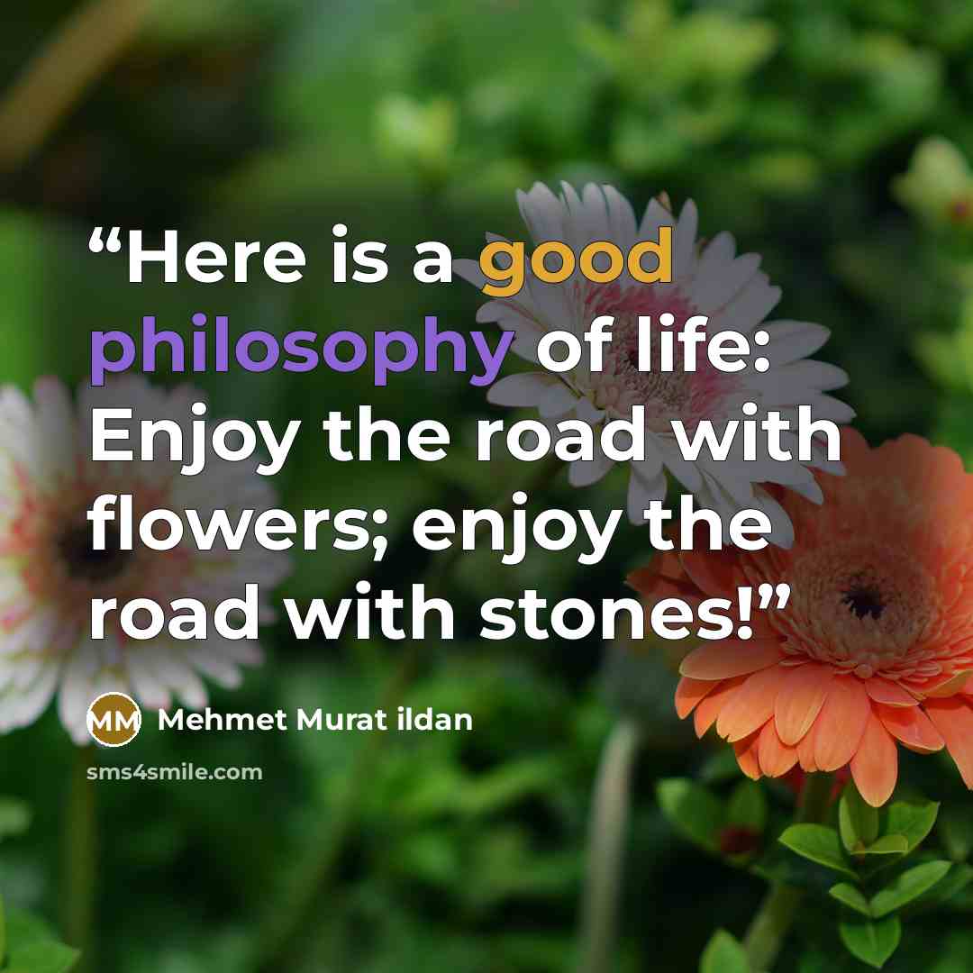 “Here is a good philosophy of life: Enjoy the road with flowers; enjoy the road with stones!” quote by Mehmet Murat ildan