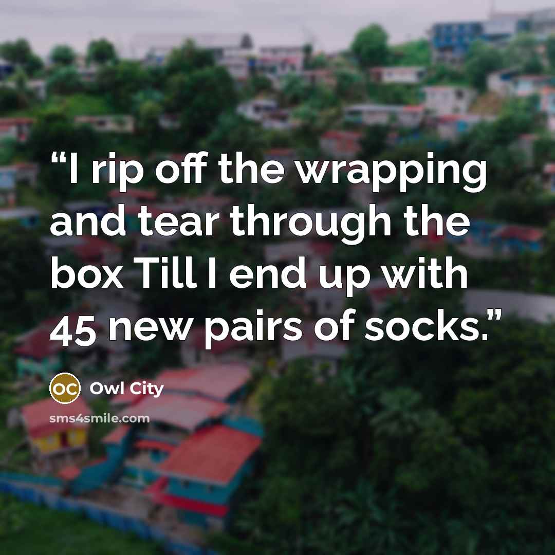 “I rip off the wrapping and tear through the box Till I end up with 45 new pairs of socks.” quote by Owl City