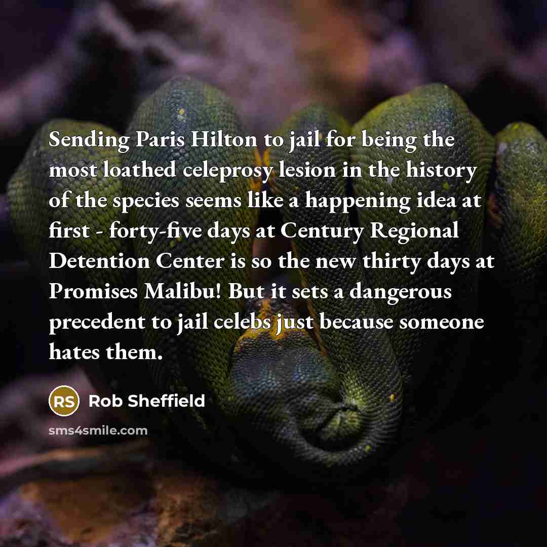 “Sending Paris Hilton to jail for being the most loathed…” quote by Rob Sheffield