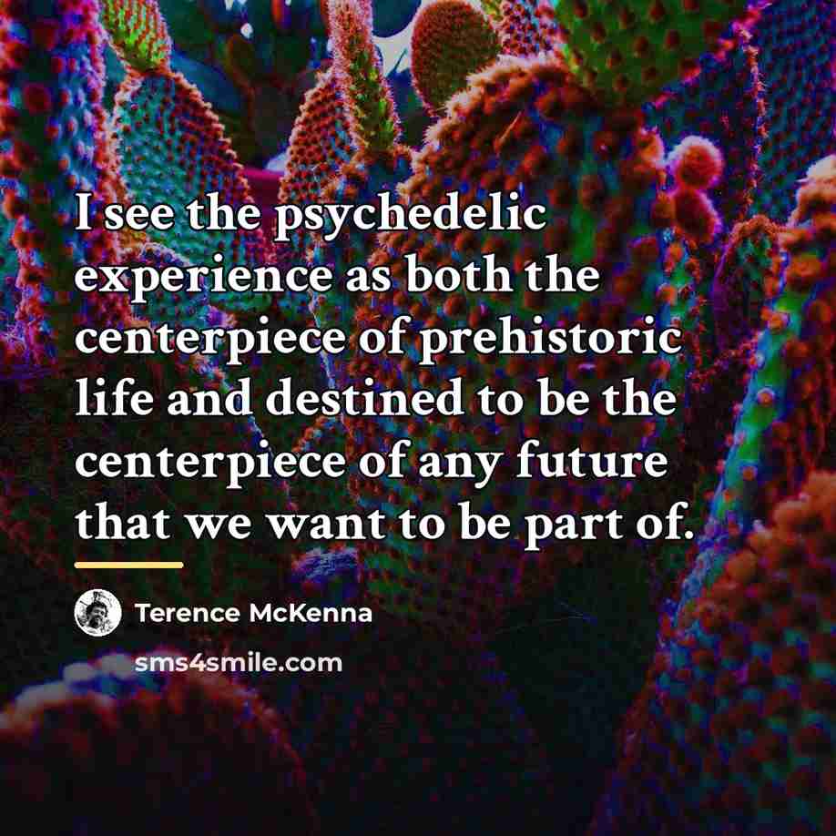 “I see the psychedelic experience as both the centerpiece of…” quote by Terence McKenna