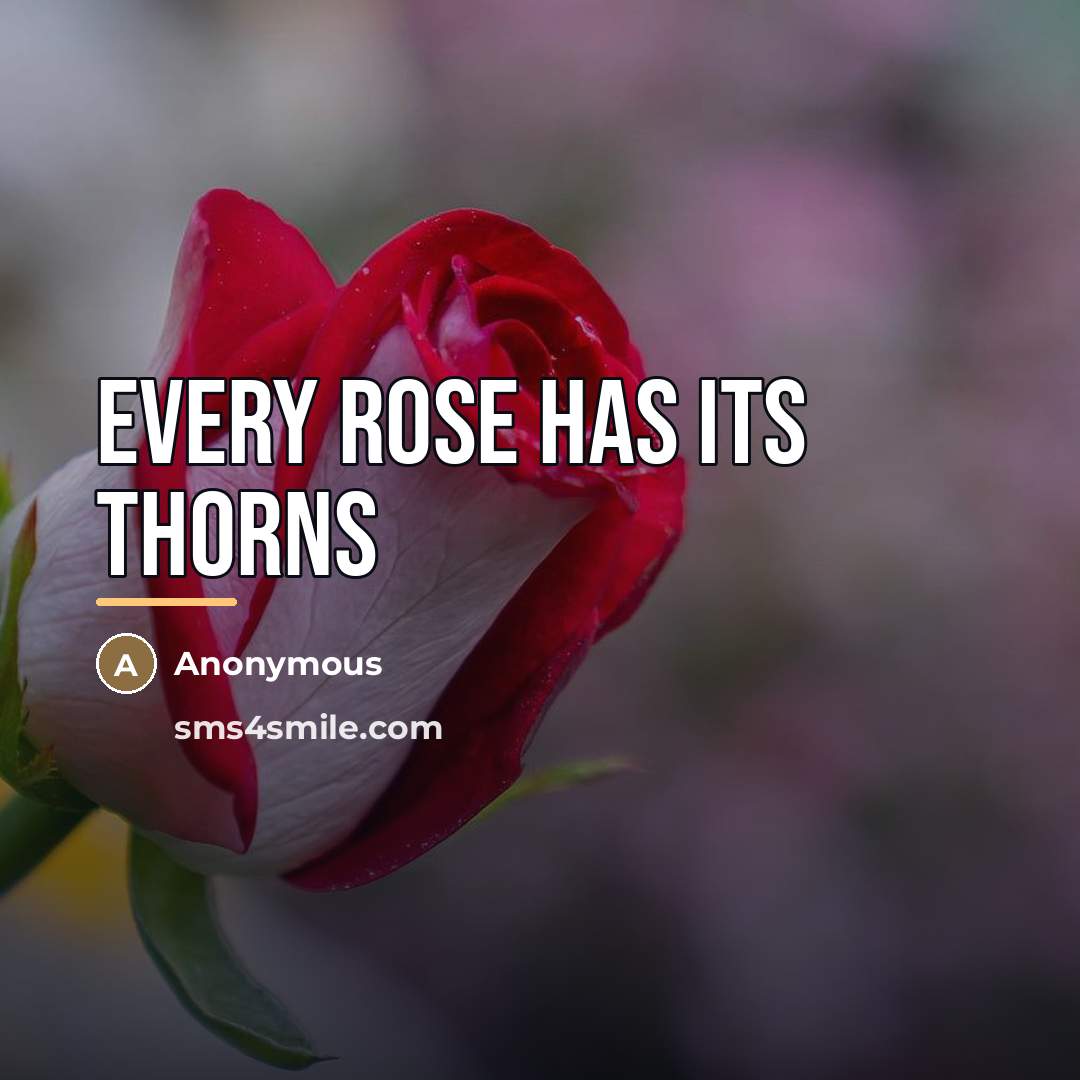 “Every rose has its thorns…” quote by Anonymous