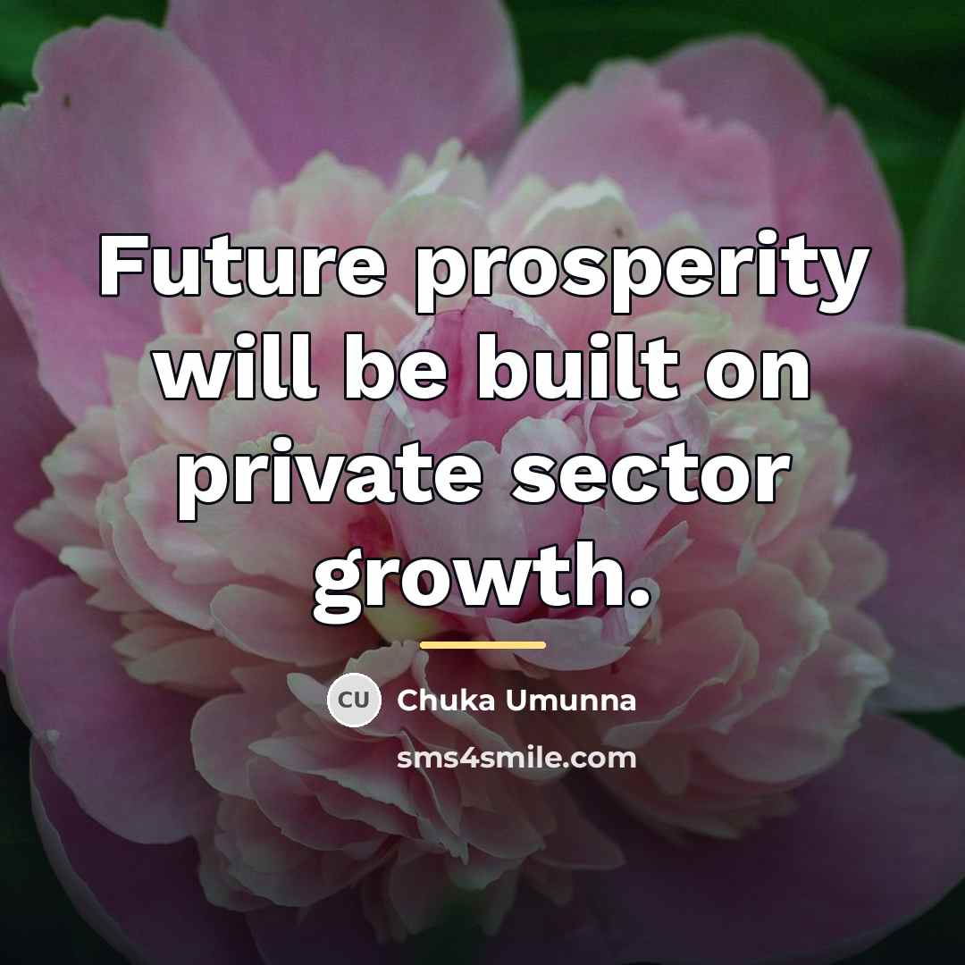 “Future prosperity will be built on private sector growth.…” quote by Chuka Umunna