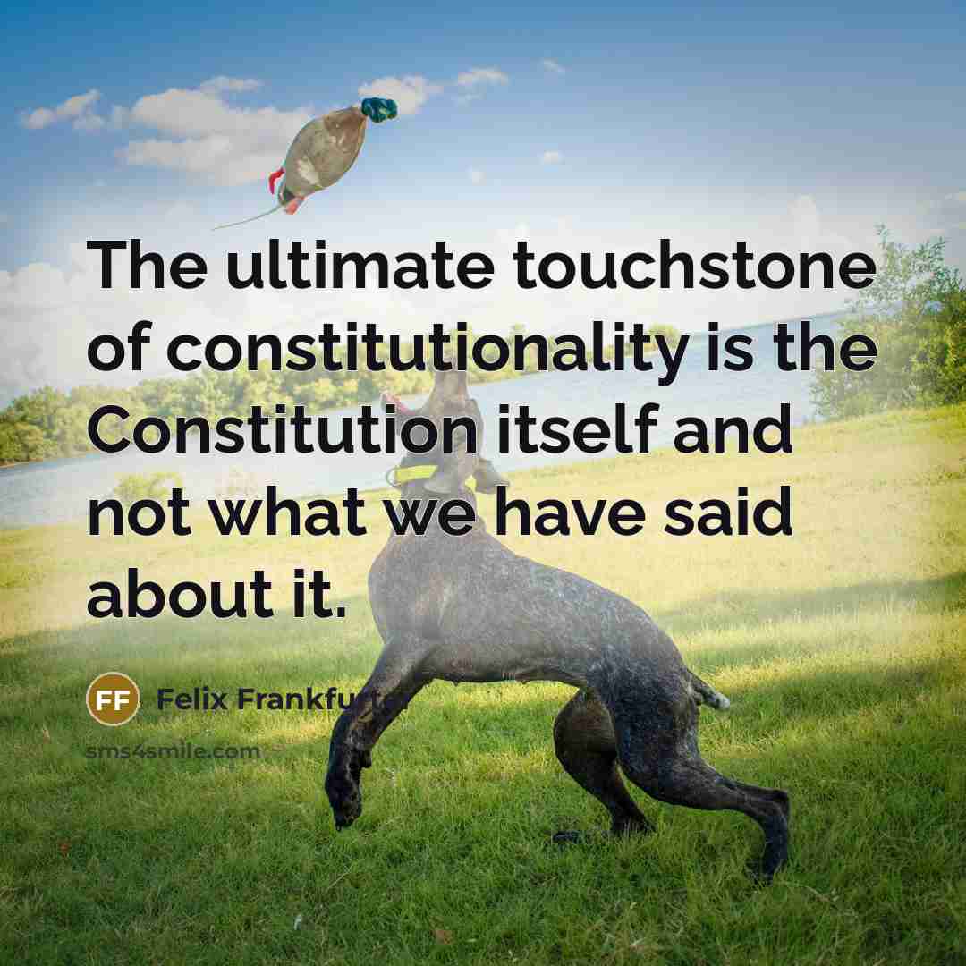 “The ultimate touchstone of constitutionality is the Constitution itself and…” quote by Felix Frankfurter