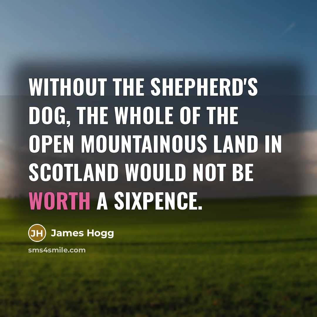 “Without the shepherd's dog, the whole of the open mountainous…” quote by James Hogg